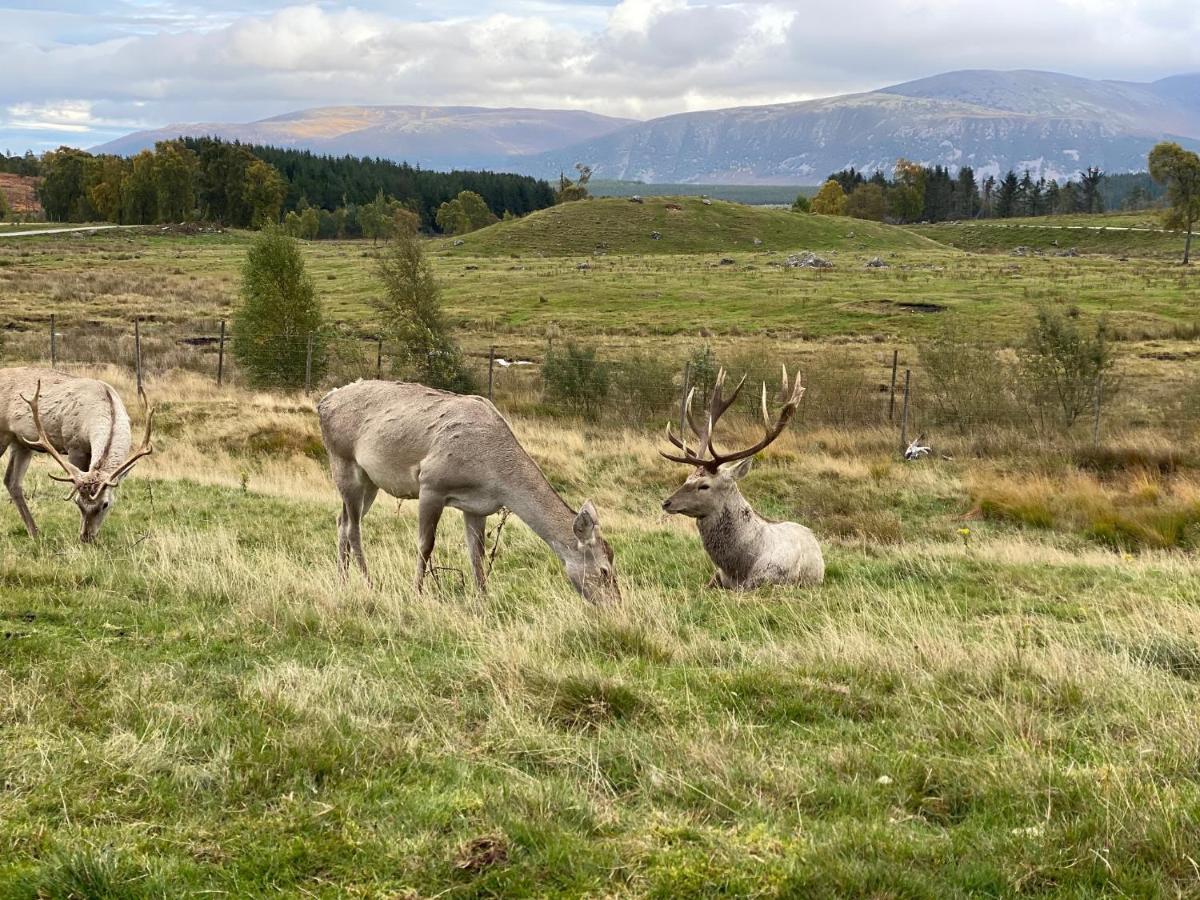 מלון Grantown-on-Spey Ardenbeg מראה חיצוני תמונה
